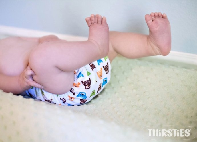 Thirsties Duo Wrap na SZ, size 2 - Arthropoda