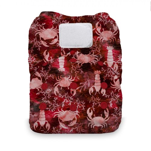 Thirsties Natural One size AIO na SZ - Claws