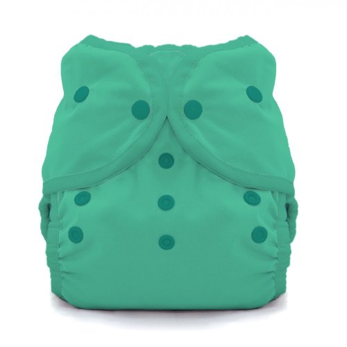 Thirsties Duo Wrap na PAT, size 2 - Seafoam