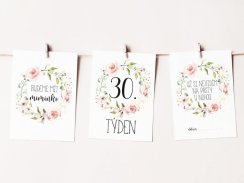 Milníkové kartičky pro miminko (35 ks) - Rosie (Unisex)