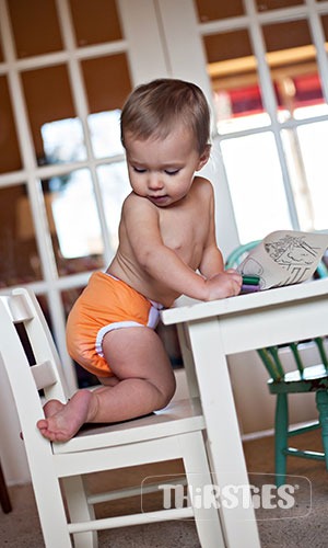 Thirsties One Size Pocket Diaper na PAT - Stargazer