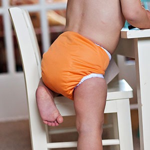 Thirsties One Size Pocket Diaper na PAT - Seafoam