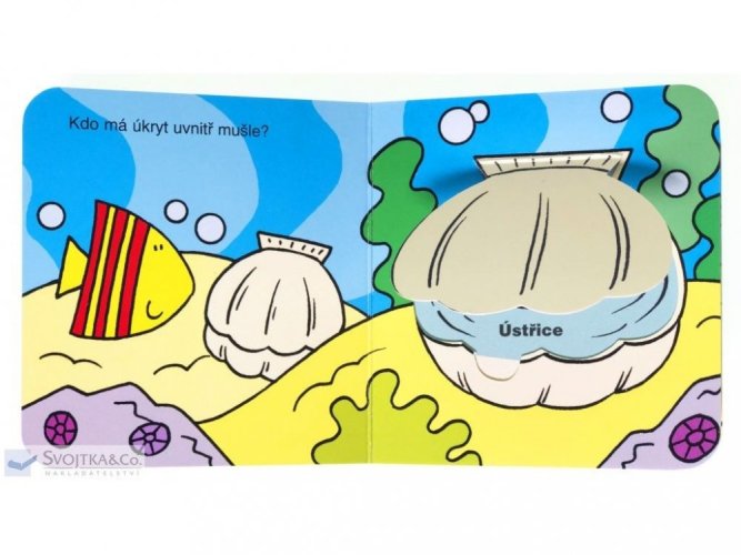 Svojtka&Co Podívej se, kdo se schovává - V moři