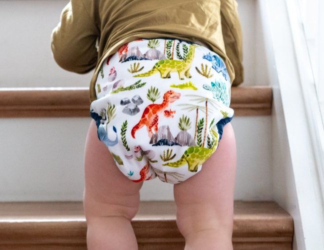 Thirsties One Size Pocket Diaper na PAT - Dino rawr