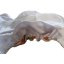 Mommy Mouse AIO Newborn na SZ - Sleeping cats