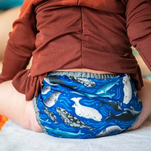 Thirsties Duo Wrap na PAT, size 2 - Ocean Lullabies